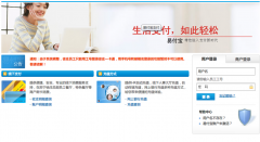 苏宁易购准备进入互